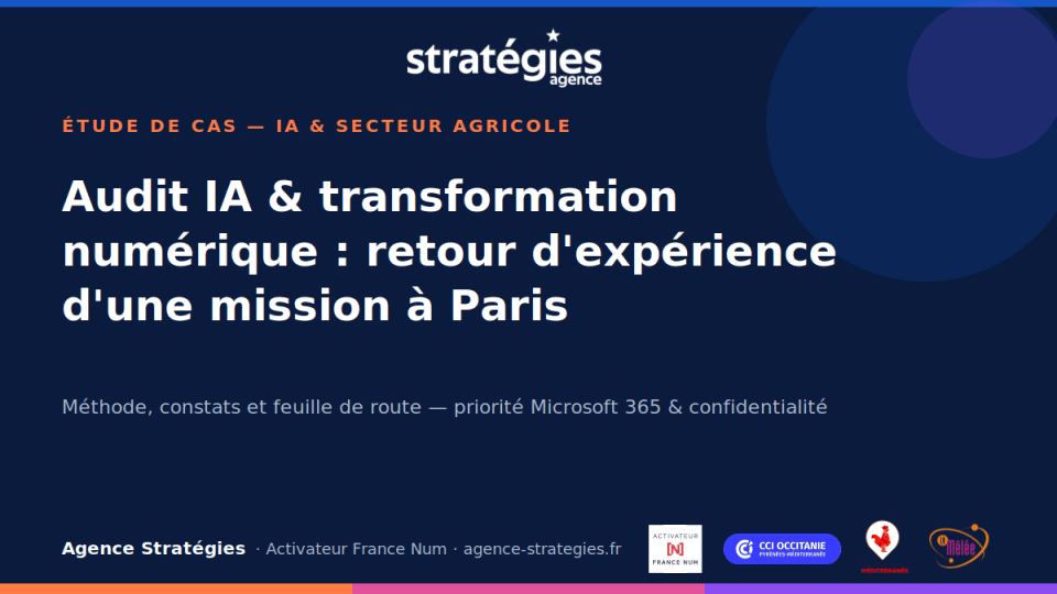 Audit IA et transformation numérique des entreprises